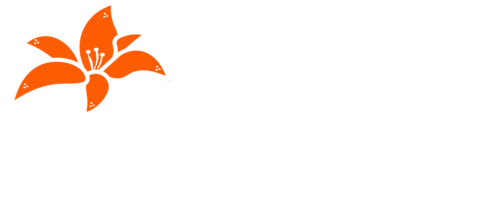 Lirio Collectors